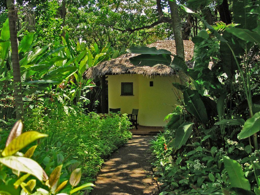 Moivaro Coffee Lodge أروشا المظهر الخارجي الصورة