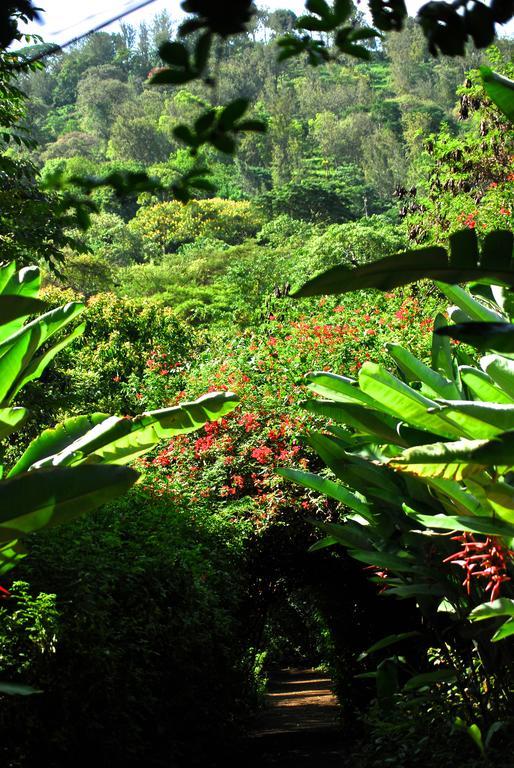 Moivaro Coffee Lodge أروشا المظهر الخارجي الصورة