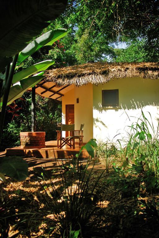 Moivaro Coffee Lodge أروشا الغرفة الصورة
